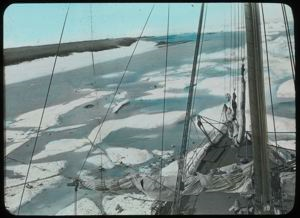 Image: S.S. Roosevelt in Spring Ice